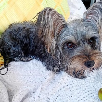 49c20719-f390-4c1b-91e5-9253b8778345