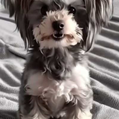 5b95e3df-2841-4370-8572-fe5ead82b5e9