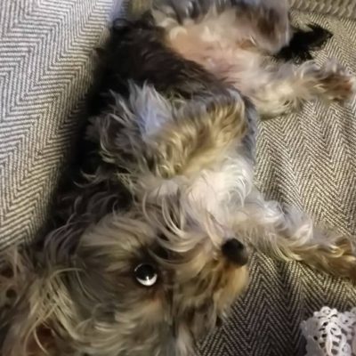 b96678ef-d2d3-4795-945a-a4ce227f7424