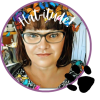 hatitude-removebg-preview